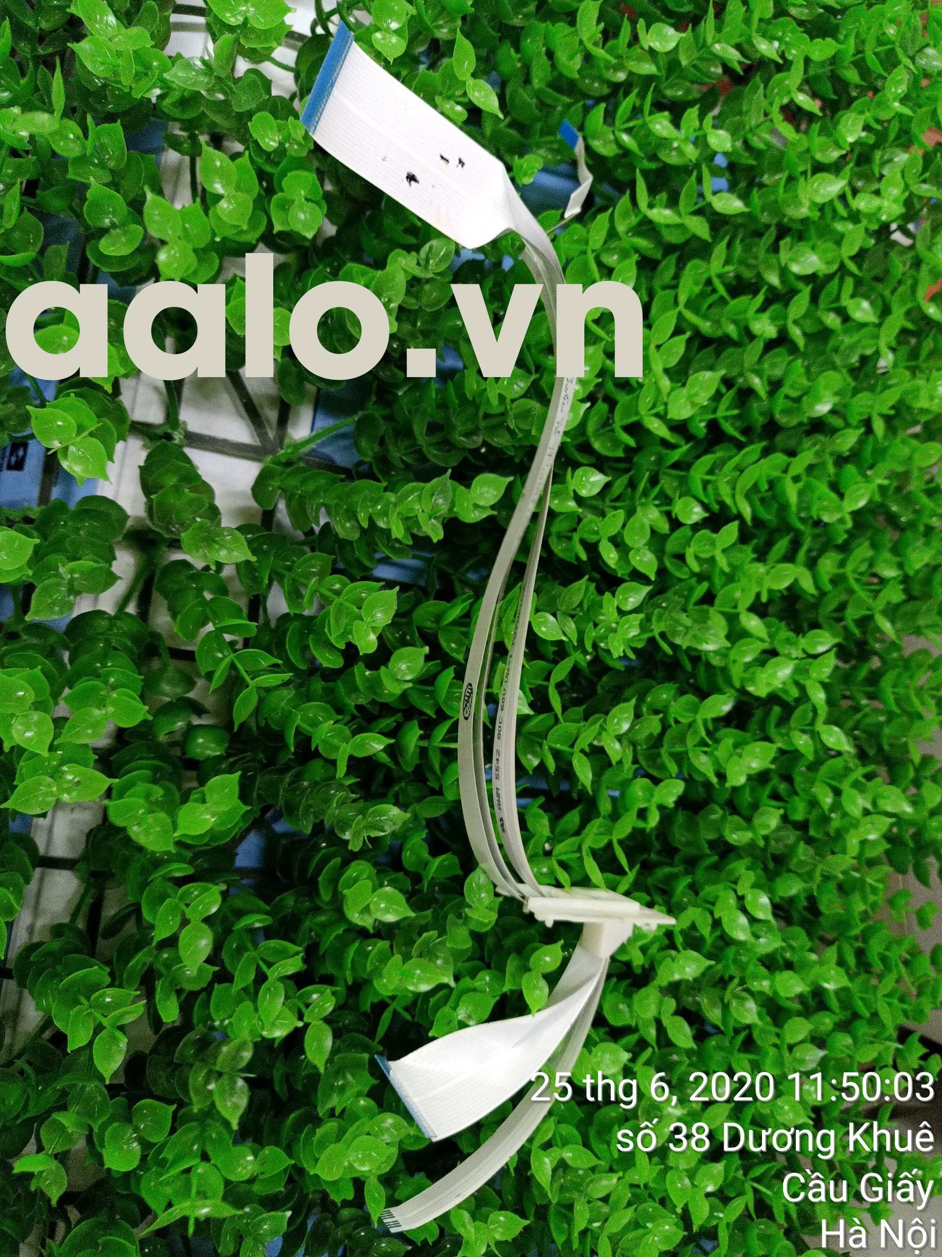 Cáp tín hiệu Máy in phun màu Epson L300 L310 L110 - aalo.vn